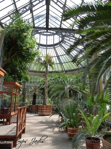 [Hortus Botanicus 053[3].jpg]