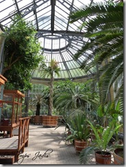 Hortus Botanicus 053