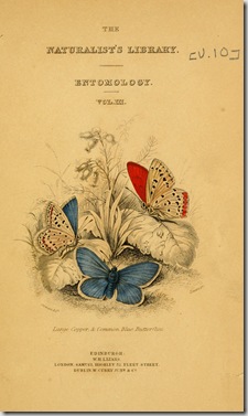 Butterflies-Natural-History-of-BRitish-Butterflies-Plate-00