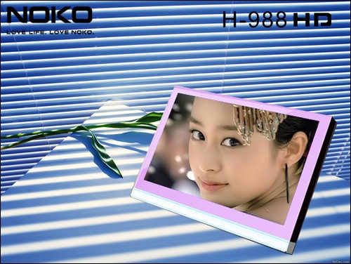 [Noiko-H-988-PMP[5].jpg]