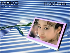 Noiko-H-988-PMP