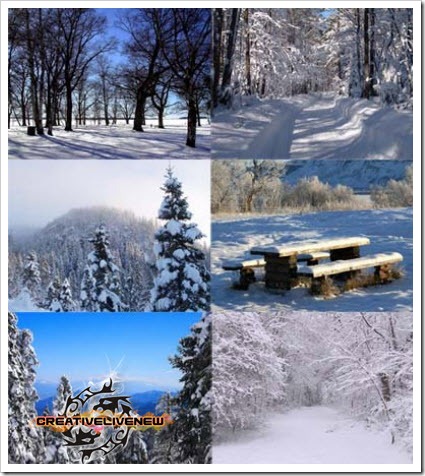 88 Beautiful Photos About Winter