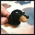 Miniature Dachshund
