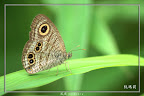 IMG_8206.jpg