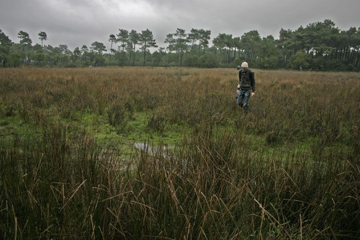 man in swamp