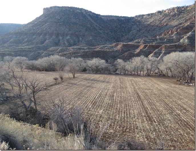 Mountain Dell 019