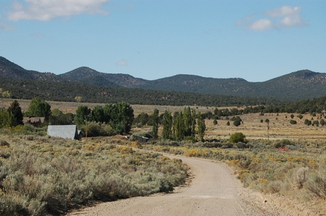 [Pinto Road[5].jpg]