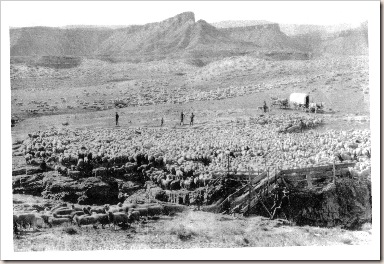 Ghouls Shearing Corral