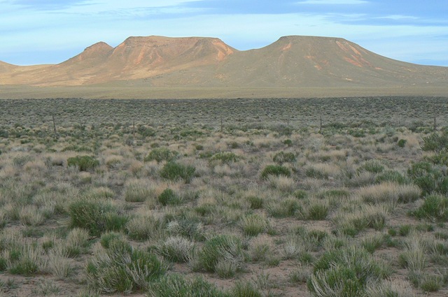 [ShearingAreaSouthwest24.jpg]