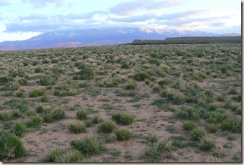Looking North 2