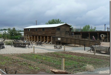 Sheep Shearing Operation near Cedar City