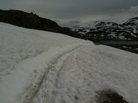 IMG_1298.jpg Photo