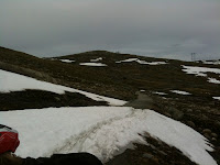 IMG_1300.jpg Photo