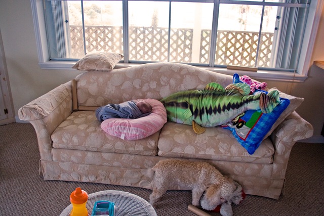 [bundle[3].jpg]