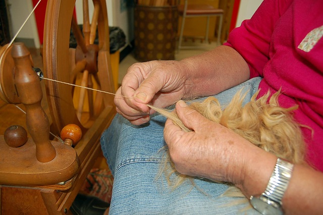 [Alpaca Project 1 - spinning[4].jpg]
