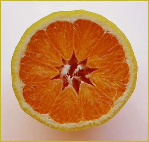 [orange[3].jpg]