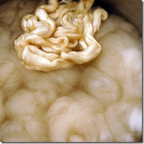 mordant 2