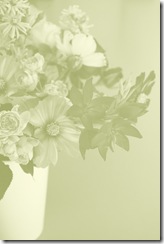 Mitty's flowers 7
