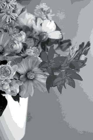 [Mitty's flowers 9[2].jpg]