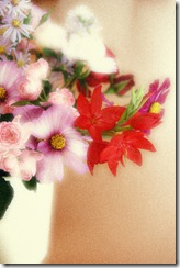 Mitty's flowers 20