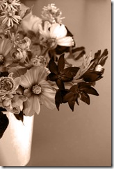 Mitty's flowers 3