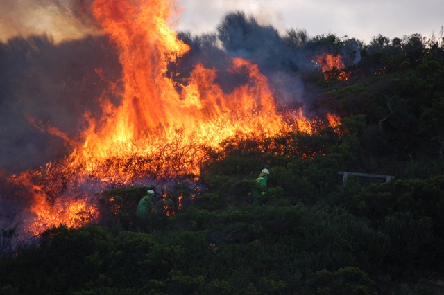 [Controlled Burn Discovery Walk 28[3].jpg]