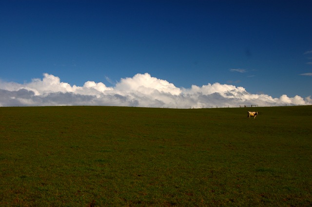 [paddocks in winter[4].jpg]