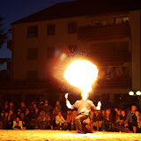 HS_20100724_Guido_Kraut_IMG_1834.jpg
