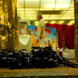 HS_20100820_pdomass_0858.jpg