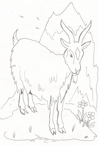 chivo.jpg