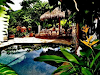 Rento Villa En Pto Vallarta