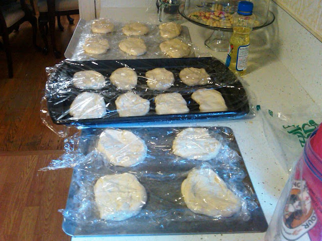 IMG00026-20101204-0958.jpg