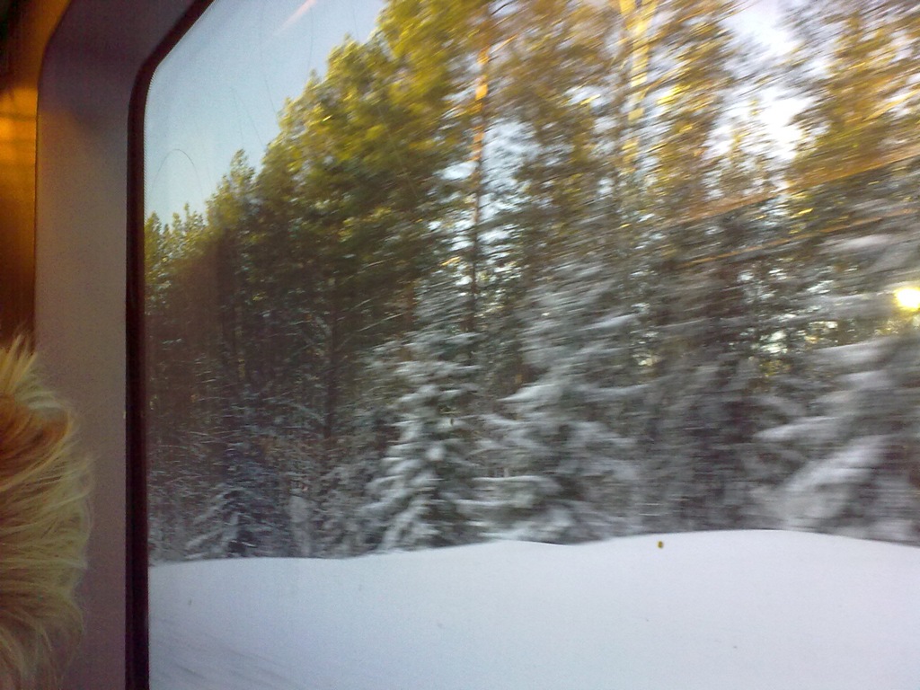 [20100208096[3].jpg]