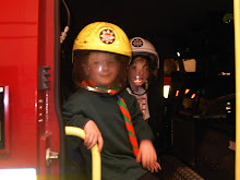 Fire Station 2010