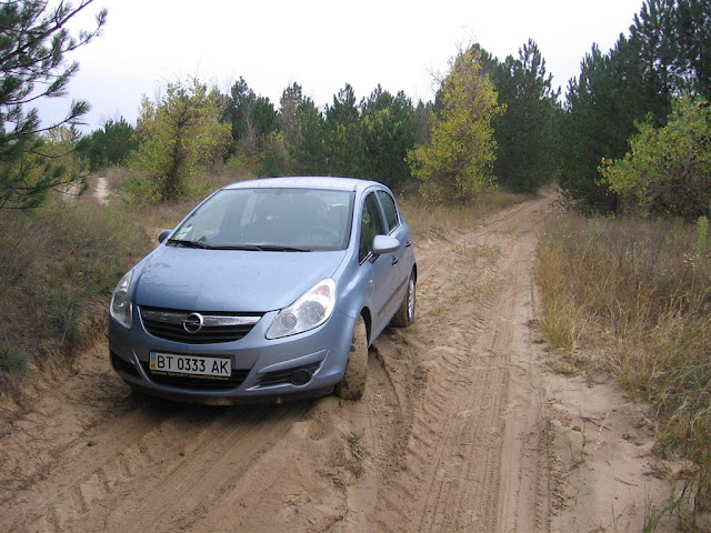 Размещенное изображение