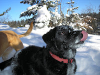 20071208_112810.JPG