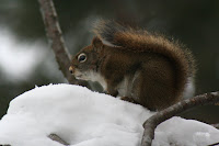 IMG_2529.jpg