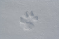 IMG_2681.jpg
