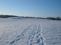 2007_0310_171305.JPG