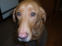 2007_0301_065914.JPG