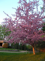 2007_0508_200950.JPG