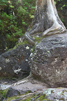 Grand Marais 020.JPG