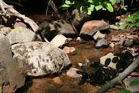 Grand Marais 139.JPG