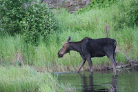 Grand Marais 221.JPG