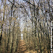 La pădure