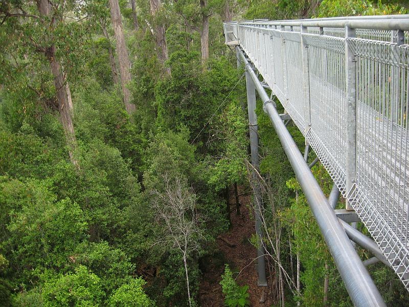 [100102_Tahune_Airwalk_Tasmania_SD900[6].jpg]