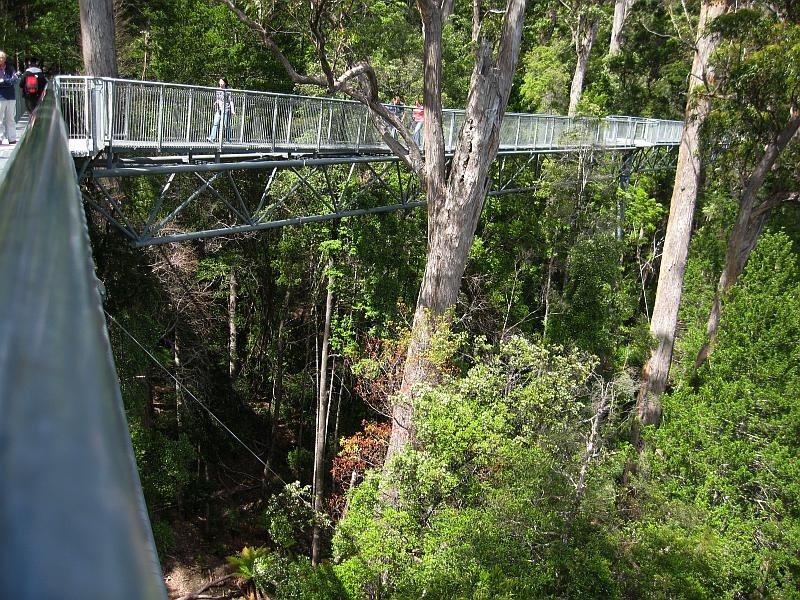 [100102_Tahune_Airwalk_Tasmania_SD900[5].jpg]
