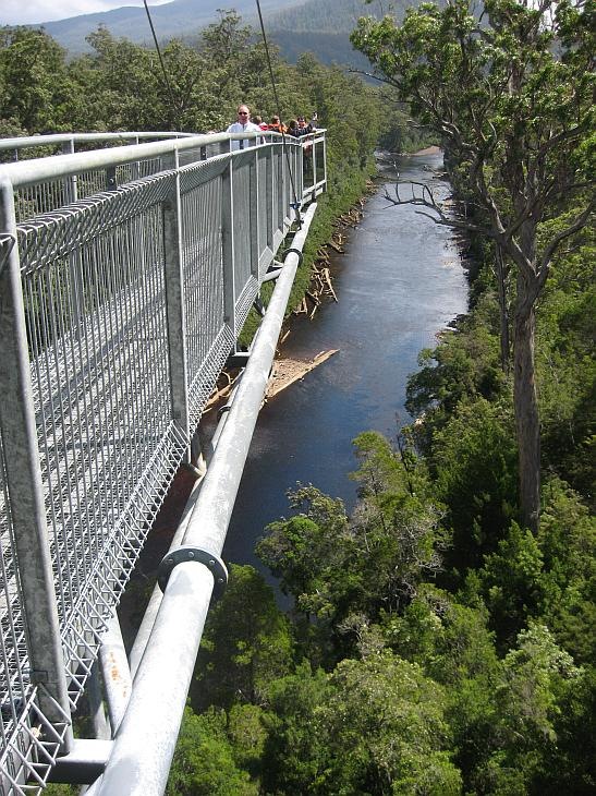 [100102_Tahune_Airwalk_Tasmania_SD900[4].jpg]