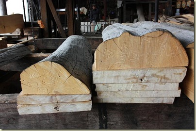 Huon pines ready for processing in sawmill