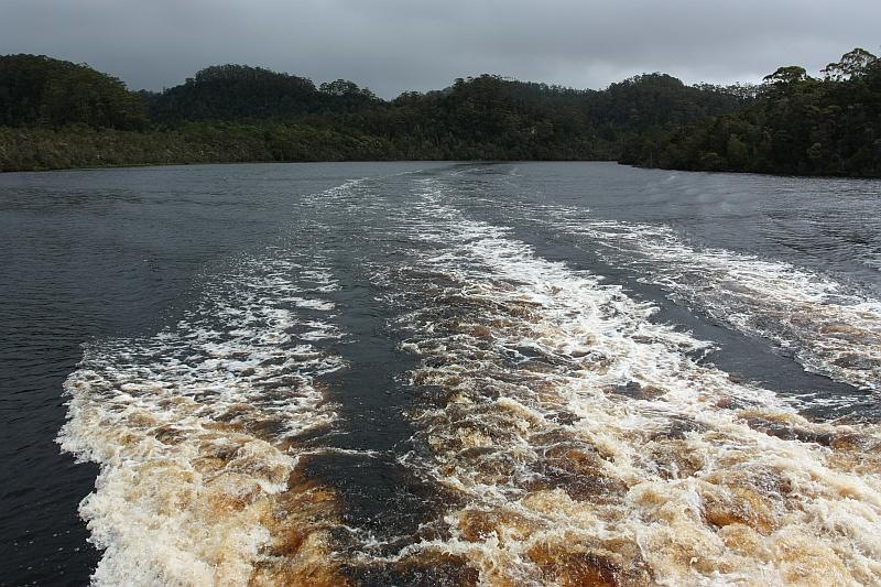 [100104GordonRiverCruiseTasmania_063_[1].jpg]